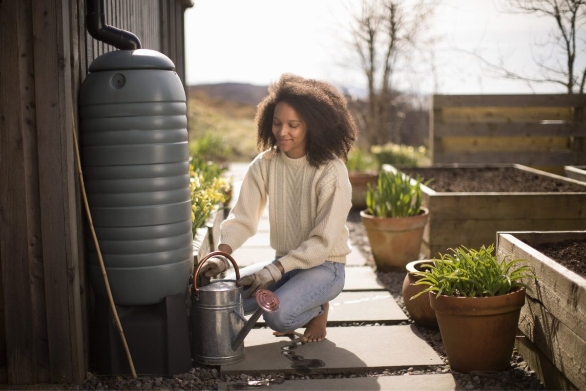Smart water saving strategies for pittsburg, ks, residents harnessing rain gardens and rainwater harvesting