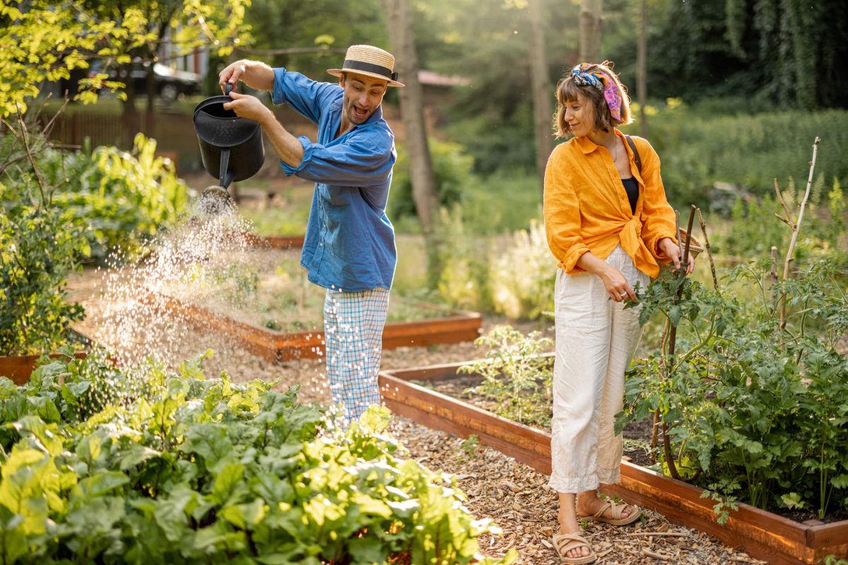 Envato july to september garden calendar essential tasks for a healthy southeast kansas garden