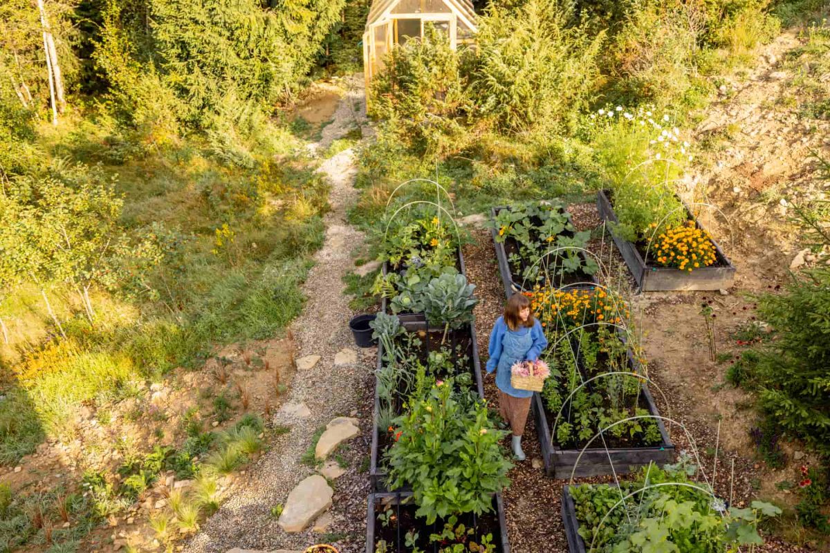 Envato preparing your garden for a bountiful fall harvest southeast kansas transition guide