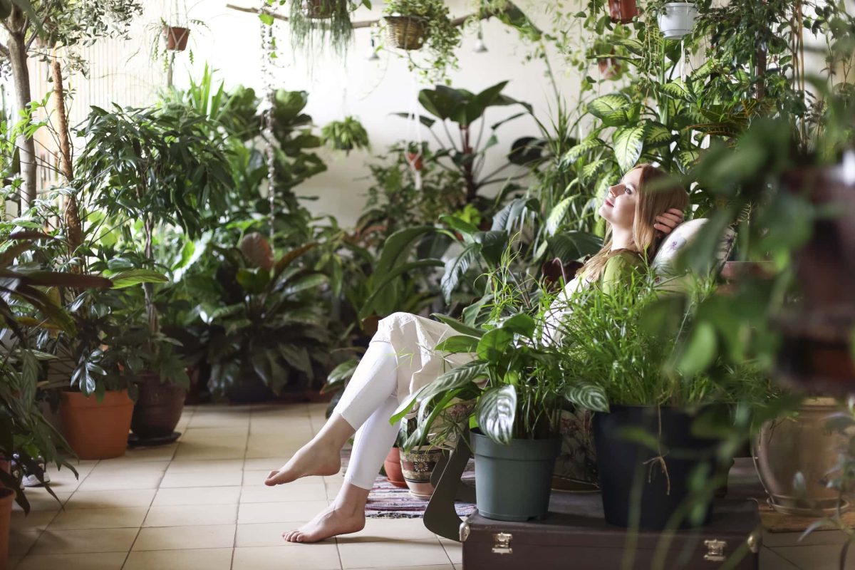National indoor plant week third week in september
