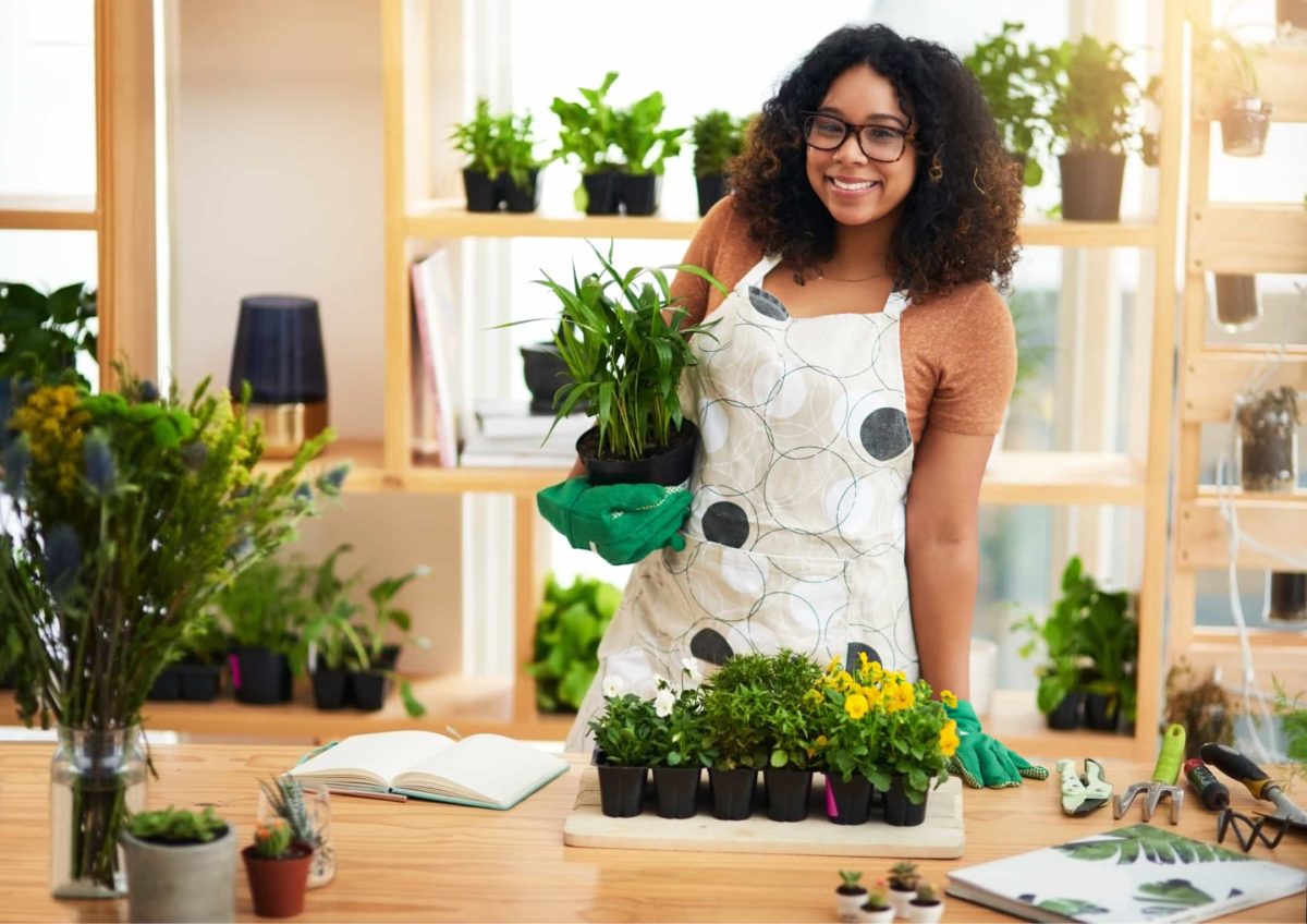 Envato Indoor Gardening in November, Starting Herbs and Microgreens for Winter Harvest