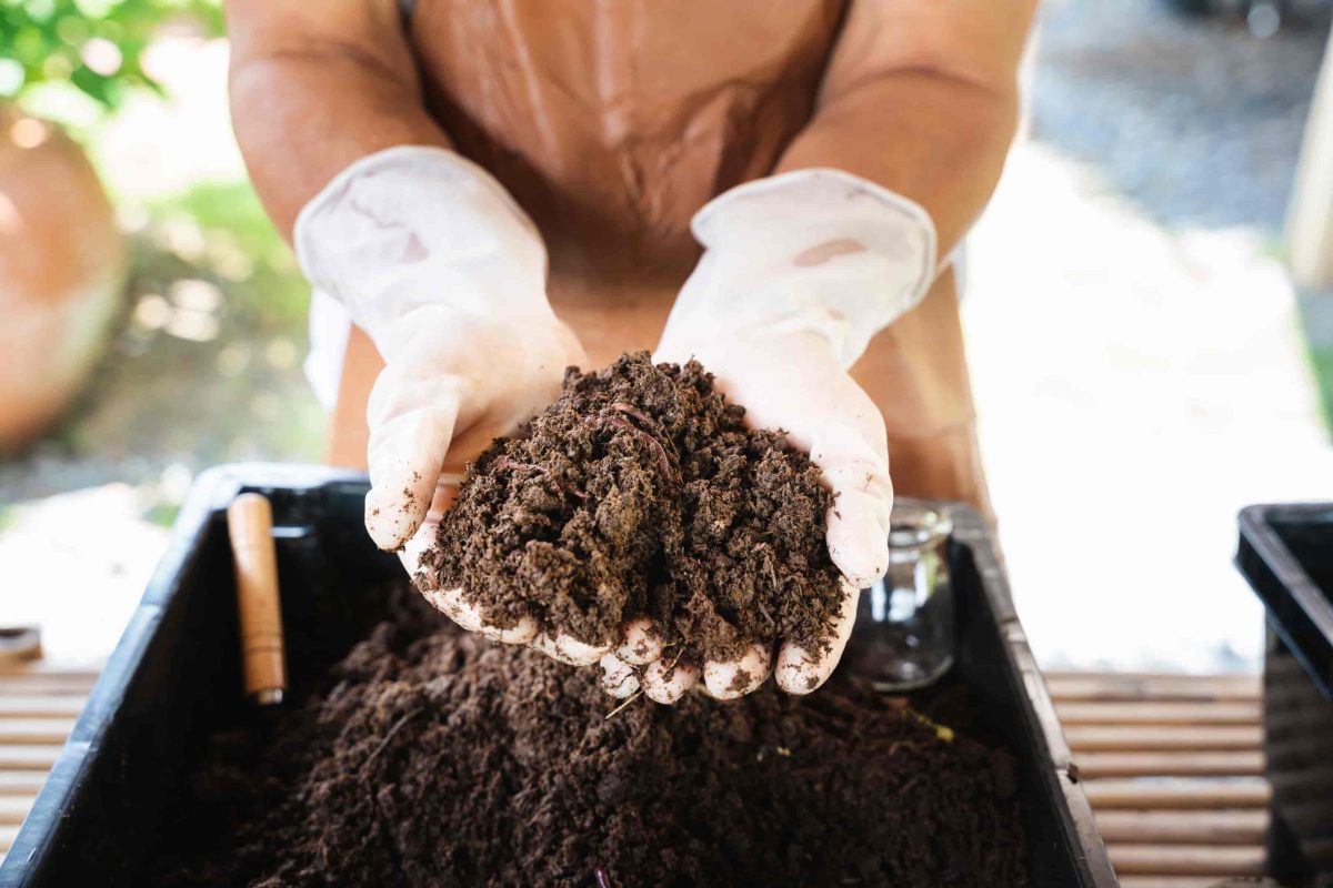 Envato Revive Tired Beds Spring Soil Reset