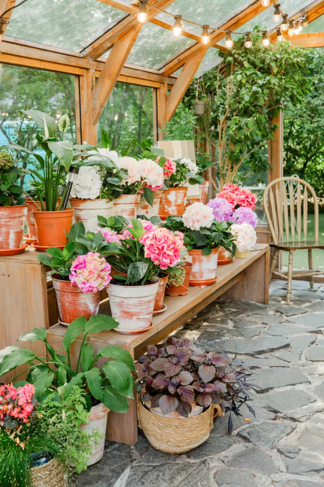 Envato Greenhouse Decorating Ideas for Your Outdoor Plant Room